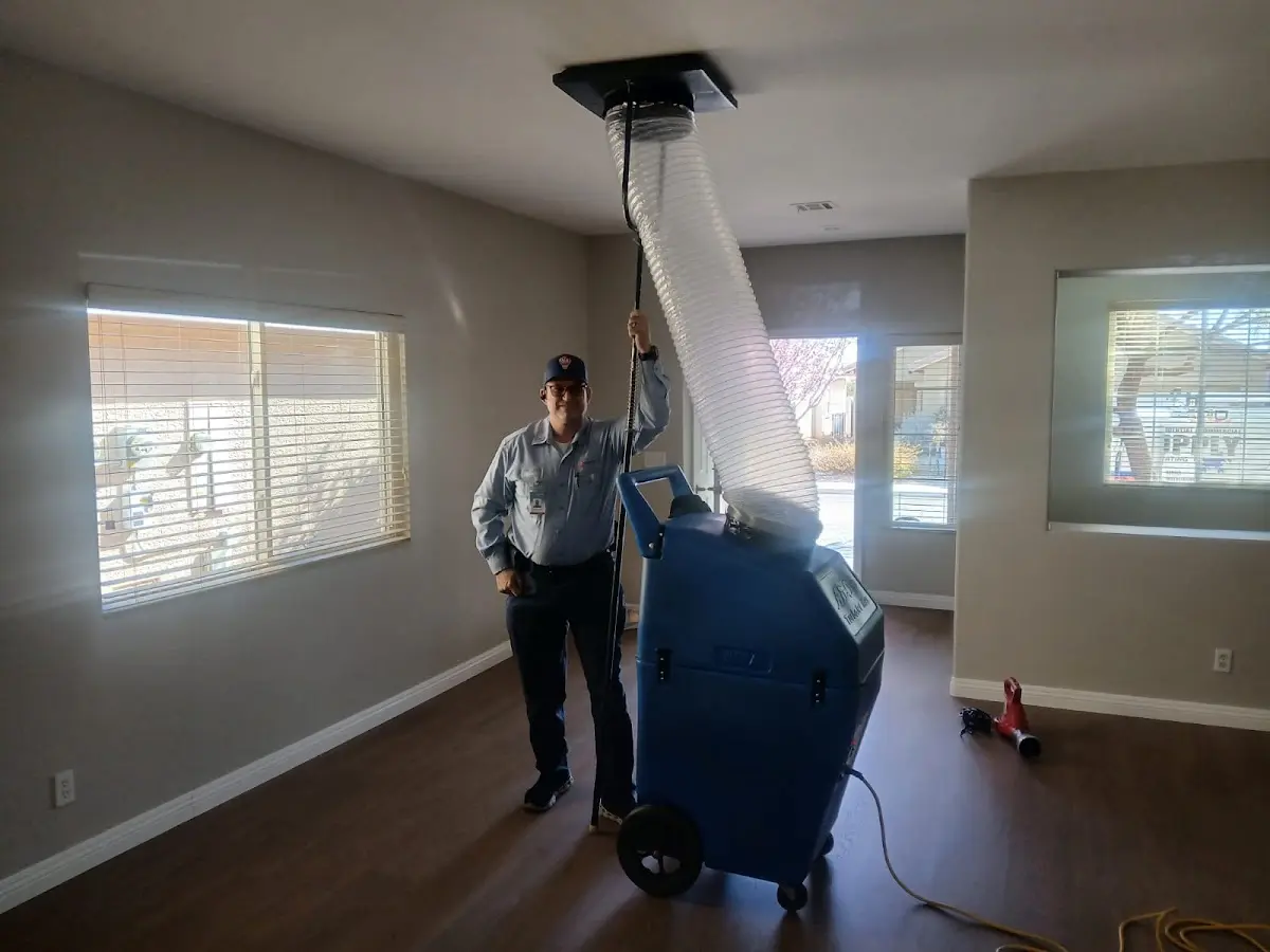 Professional Dryer Vent Cleaning work inside a Willowbrook home